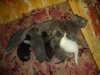 DSC04476.JPG