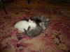 DSC04478.JPG