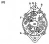 6h-6h_802_01_2.jpg