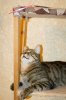 DSC03723-1.jpg