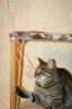 DSC03724-1.jpg