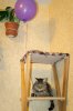 DSC03725-1.jpg