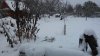 20161105_110223.jpg