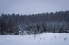 DSC03782-1.jpg