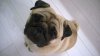 WP_20160725_007.jpg