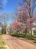 2017-02-11 11.16.01.jpg