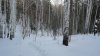 DSC01344.JPG