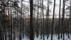 DSC01360.JPG