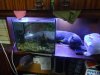 DSC04598.JPG