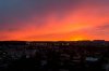 DSC04033-1.jpg