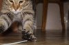 DSC04083-1.jpg