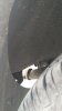 IMG_20170606_202019.jpg