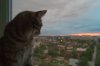 DSC04115-1.jpg