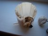 DSC03099_resize.JPG
