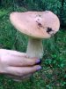 18062009 006.jpg
