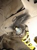 DSC07544.jpg