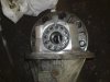 DSC08591.jpg