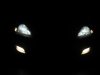 Xenon_ПФ.jpg