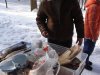 DSC00151.jpg