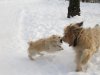 IMG_0768.jpg