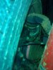 28052008528.jpg
