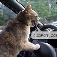 borisovich