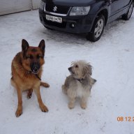 ОВлад2014