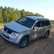 радик313