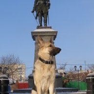 т. Дусин