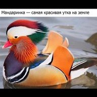 Люлюшечка