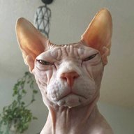 EgorNNsk