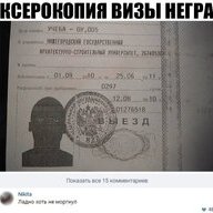 Koleg
