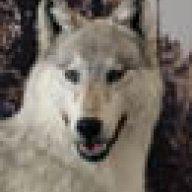 volk8