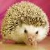 Ежик полноприводный