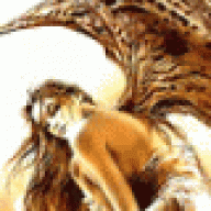Safoe