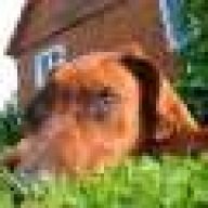 SH_