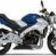 Leshka650