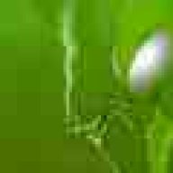 enio