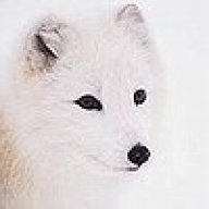 Arcticfox