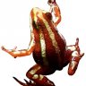 phyllobates