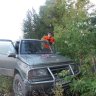 дамиша