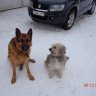 ОВлад2014