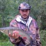 ВОЛКОВ.Д
