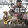 сузукайф