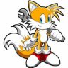 TailyMile