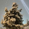 Владислав Борисов