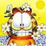 Garfielda