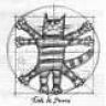 Kostya Cat