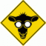 elsheep
