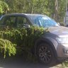Irishka21